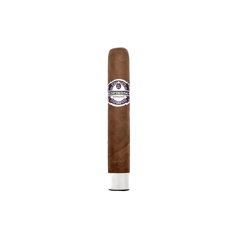 Espinosa Sumatra Gordo