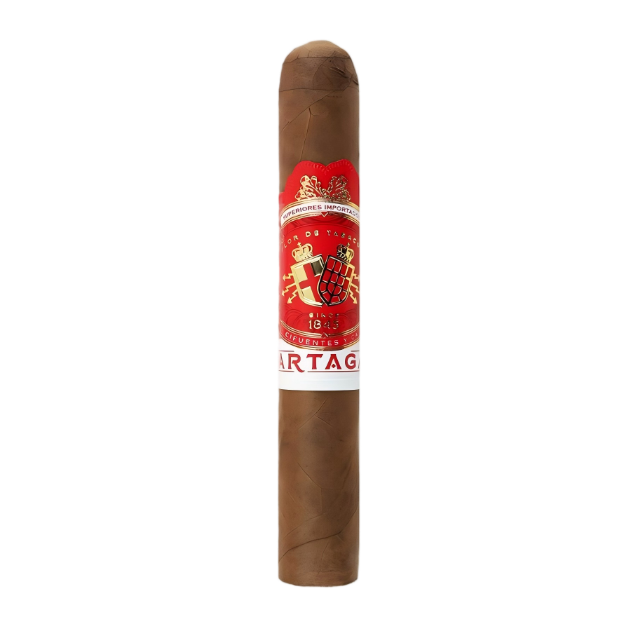 Partagas Cortado Robusto