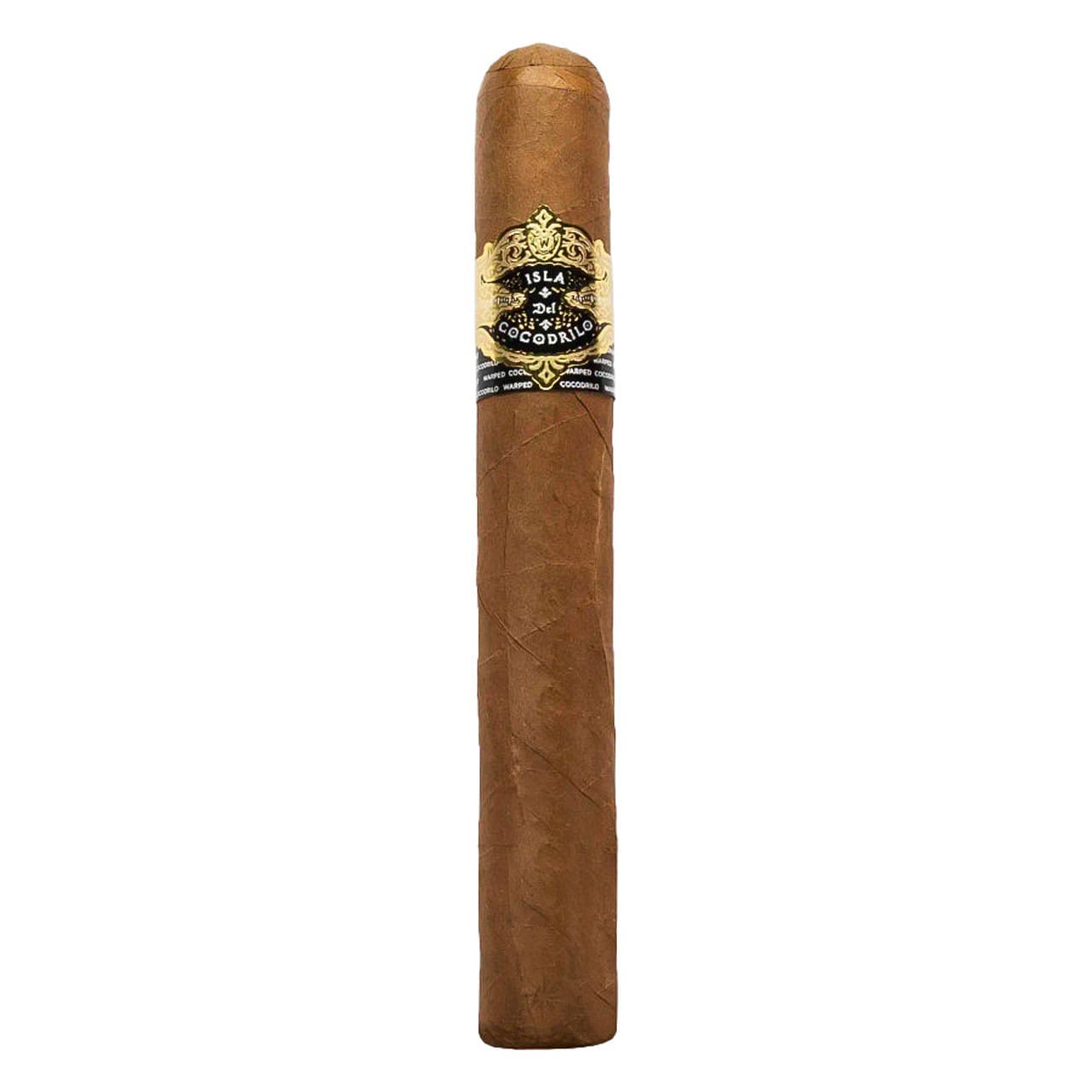 Warped Cocodrilo Toro